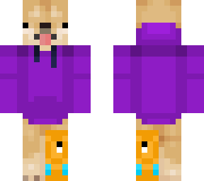 fish dog in purple hoodie