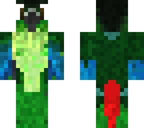 my pet parrot