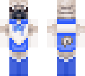 sailor mercury pug