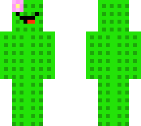 cactus skeppy
