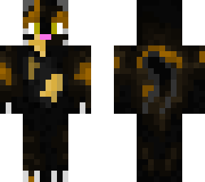 my cat (nyx)