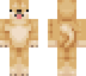 doge base