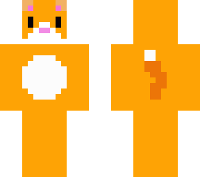 orange cat