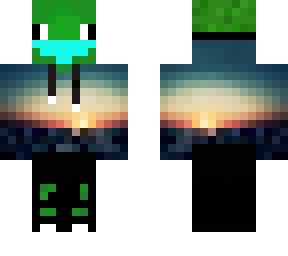 turtle with mask