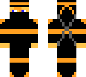 the ginjaninja v2
