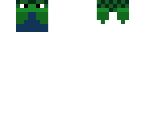 turtle hat