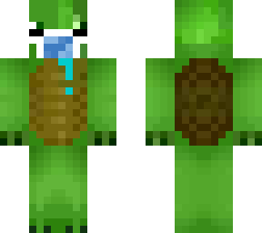 turtle with mask