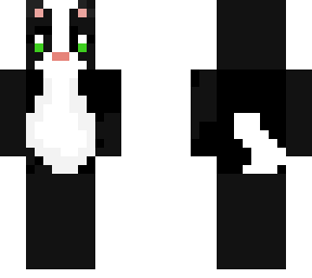 cute black cat
