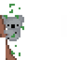 koala!! <3