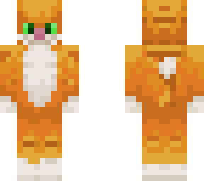 bea: ginger cat from the hive