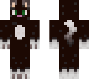 black cat