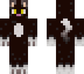 black cat