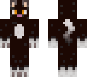 black cat