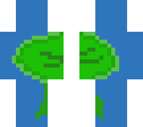 lily pad