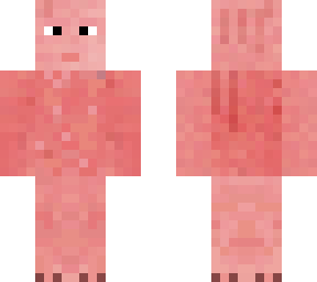 pig for dartthedog
