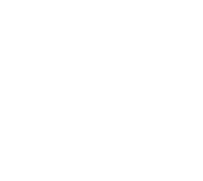 skeleton 2