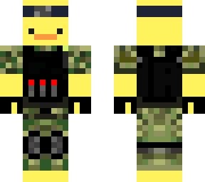 army duck