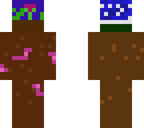 biome skin