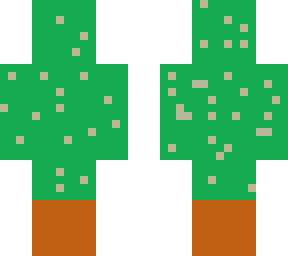 cactus skin