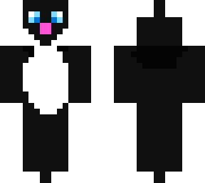 regular cat