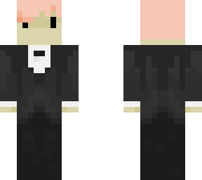 the castle guard mintblock 1.1