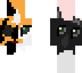 my 2 cats
