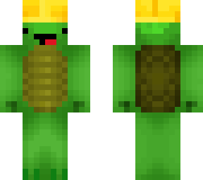 construction turtle