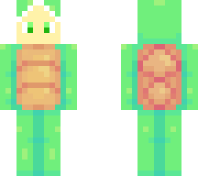 customized turtle