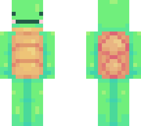 dumb turtle