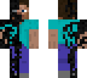 voided steve