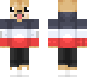 cute usa doggo
