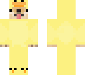 doge with duck costume
