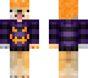 dogo calabaza