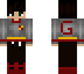gryffindor hoodie boy- show your hogwarts house!