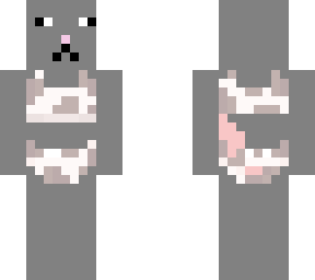rat in a bathin suit
