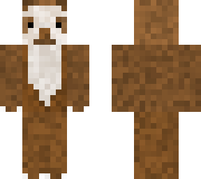 sloth