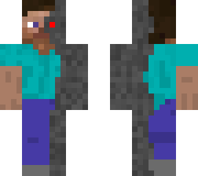 terminator steve