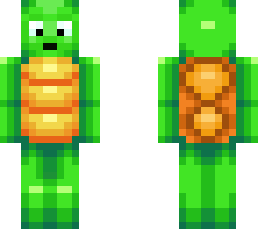 new turtle with more detailed face