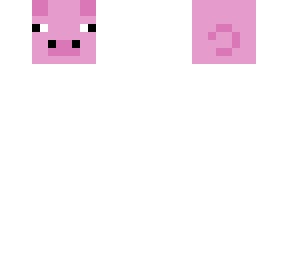 pig pet