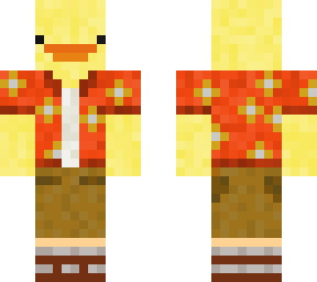 summer duck