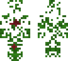 tangeled vines