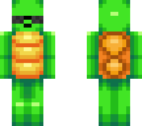 turtle sunglasses remodel