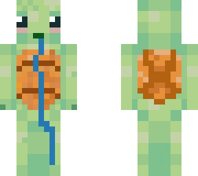 turtle