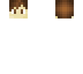 falconsight24 template