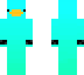 skin pa marche