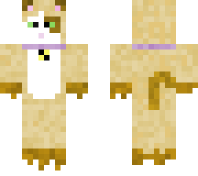 snowshoe cat