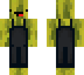 melon skin