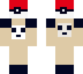 my pokemon skin