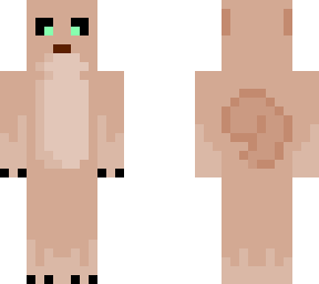 squirrel