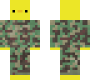 army duck